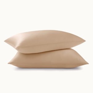 22 momme silk pillowcase 2 pack 4044409.jpg